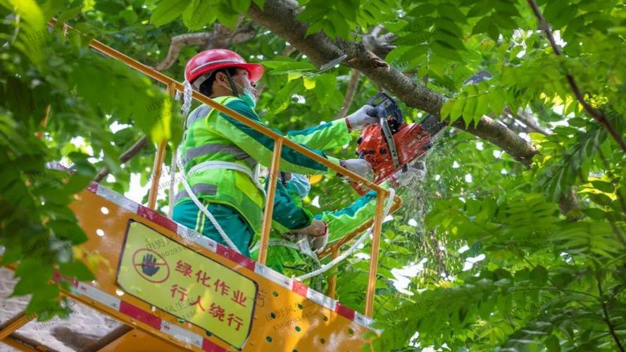 信阳绿化和市容管理局局长