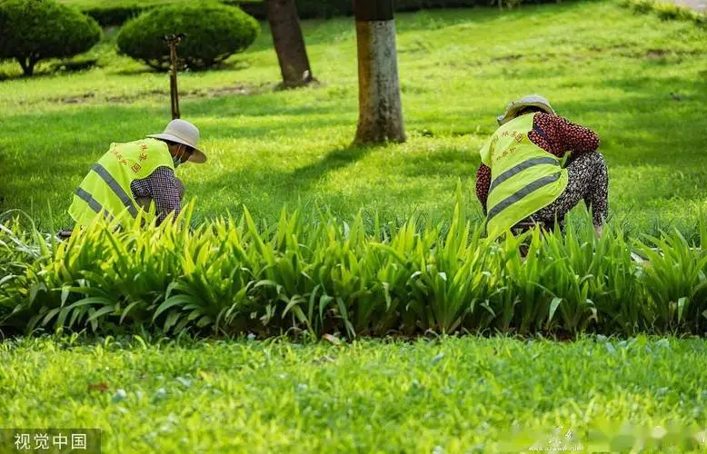 园林管理岗位面试问题揭秘：请简要介绍您在园林设计和维护方面的经验。